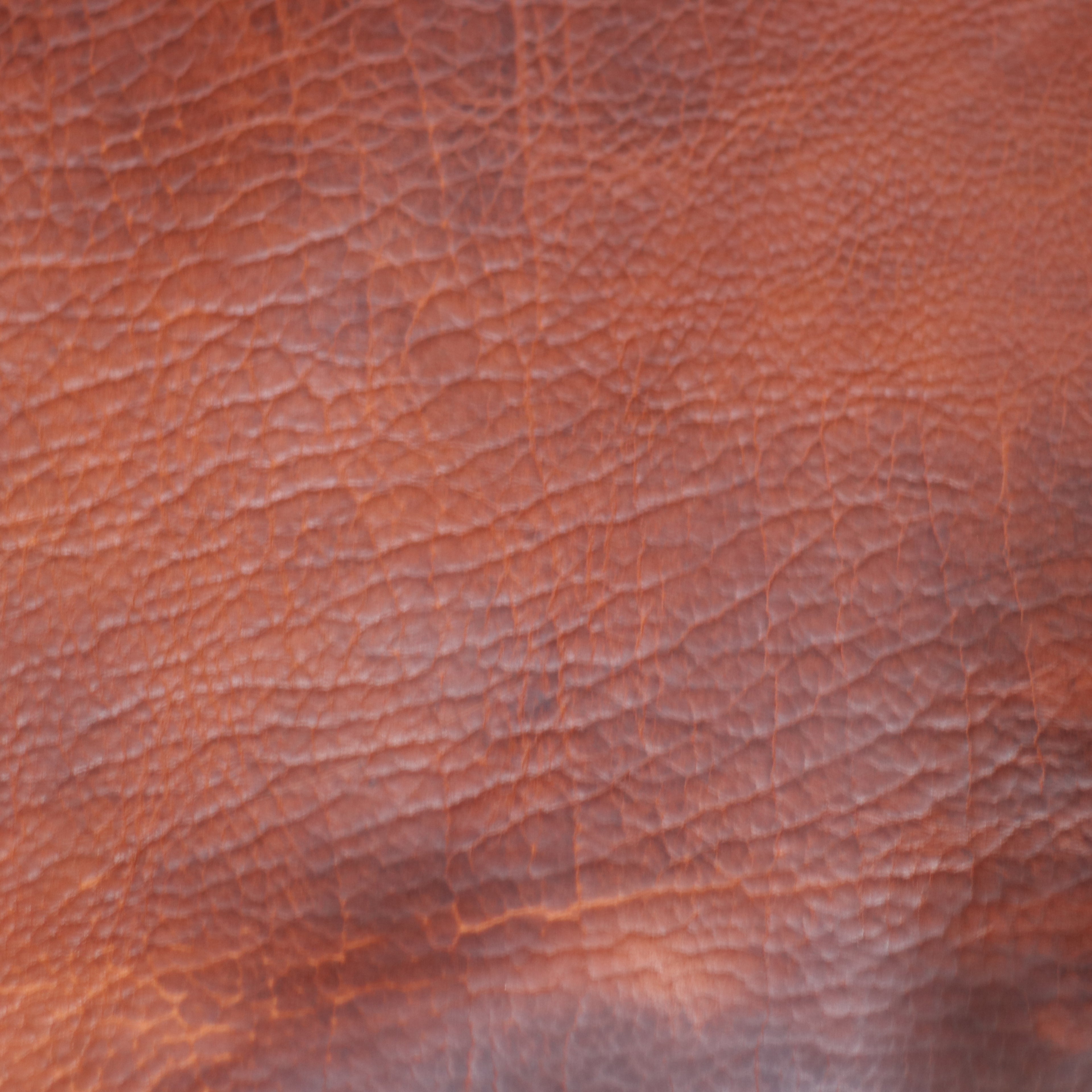 8/9oz. American Bison Utta Chrome-Tanned Leather by Sepici