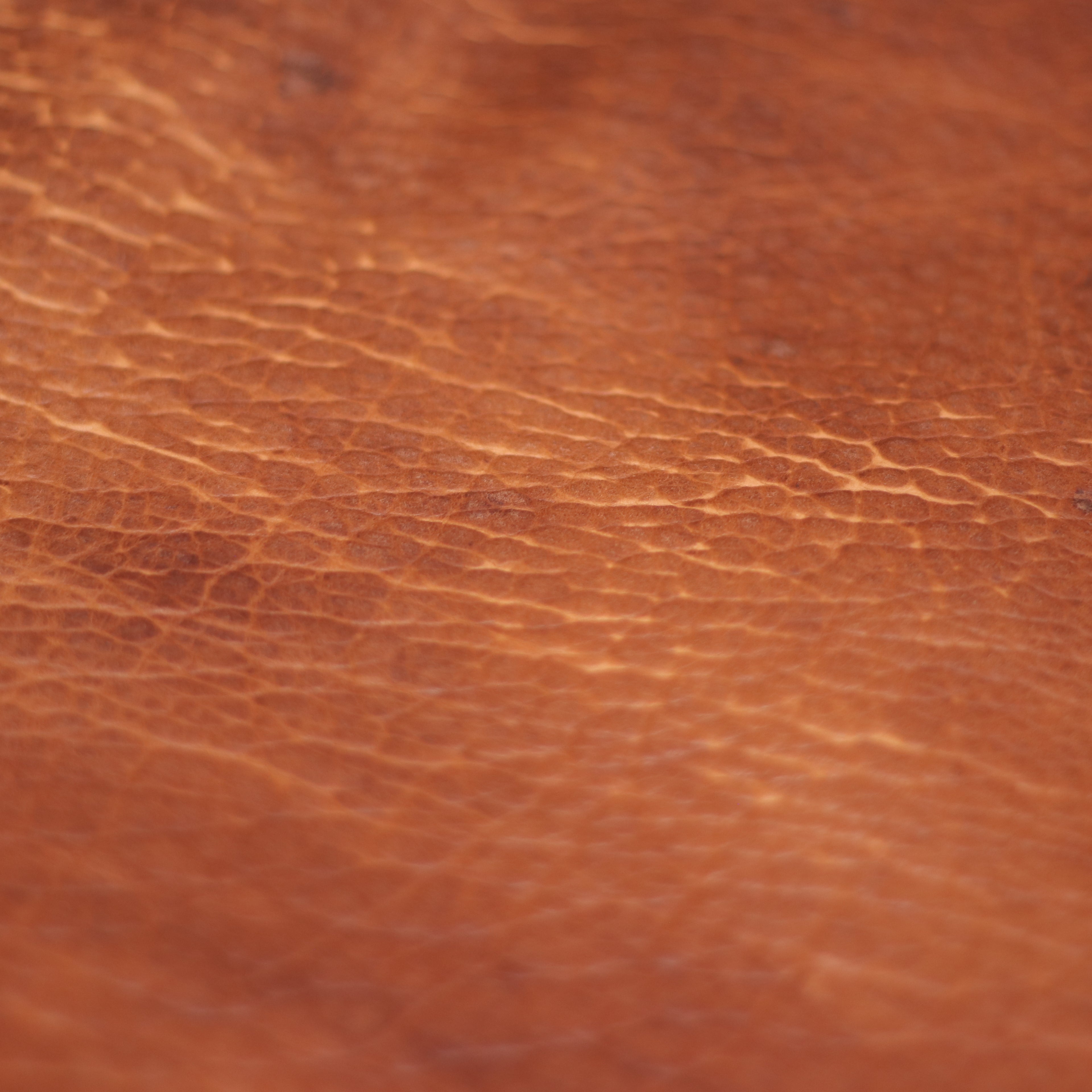 8/9oz. American Bison Utta Chrome-Tanned Leather by Sepici