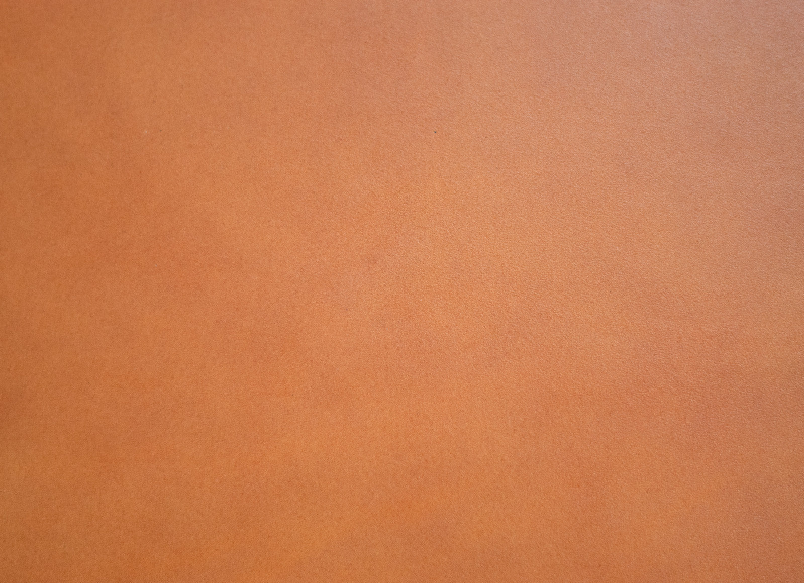 8/10oz. English Bridle Leather, Tan Color, Single Back, by Wickett & Craig