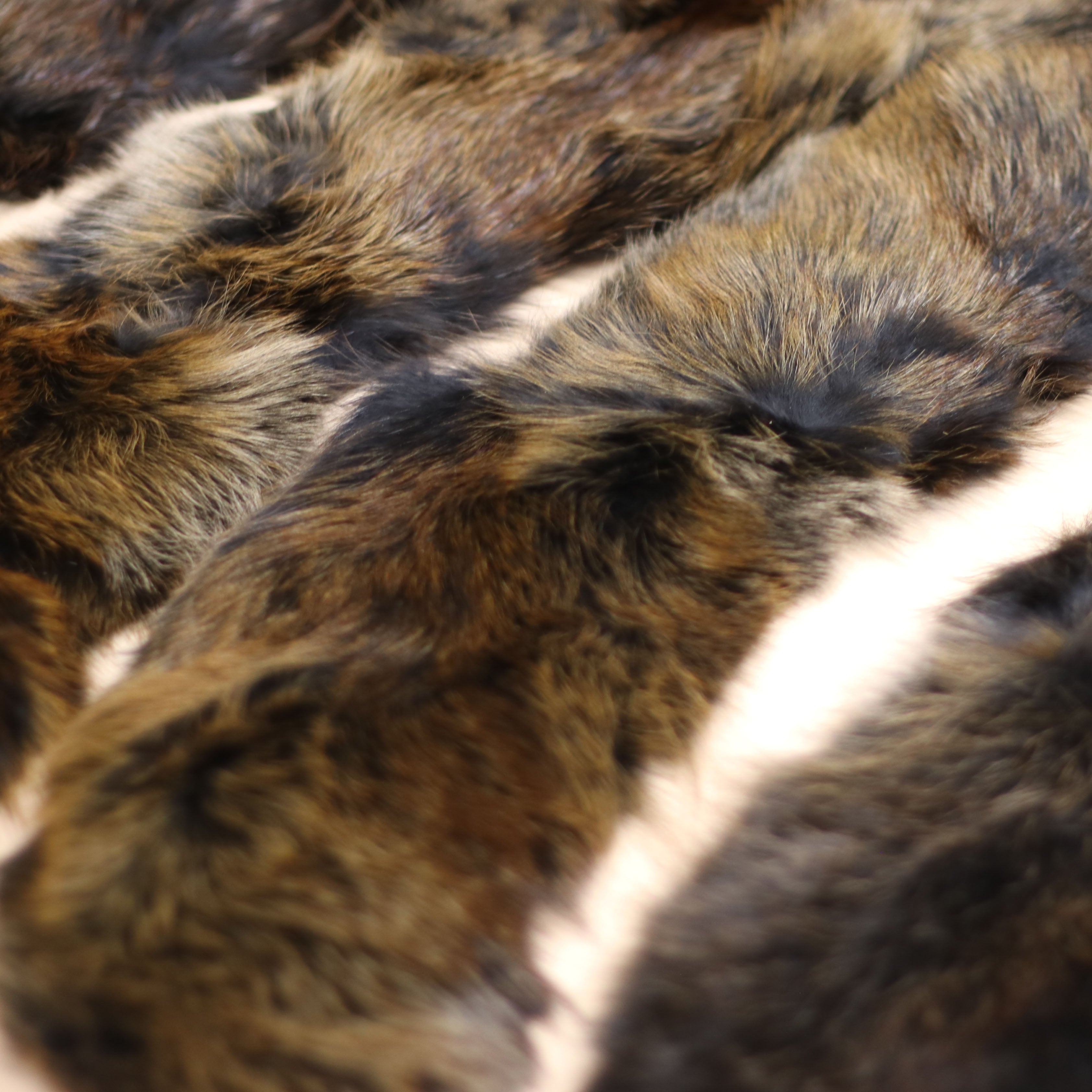 Premium Fox Fur Collar - Limited Edition