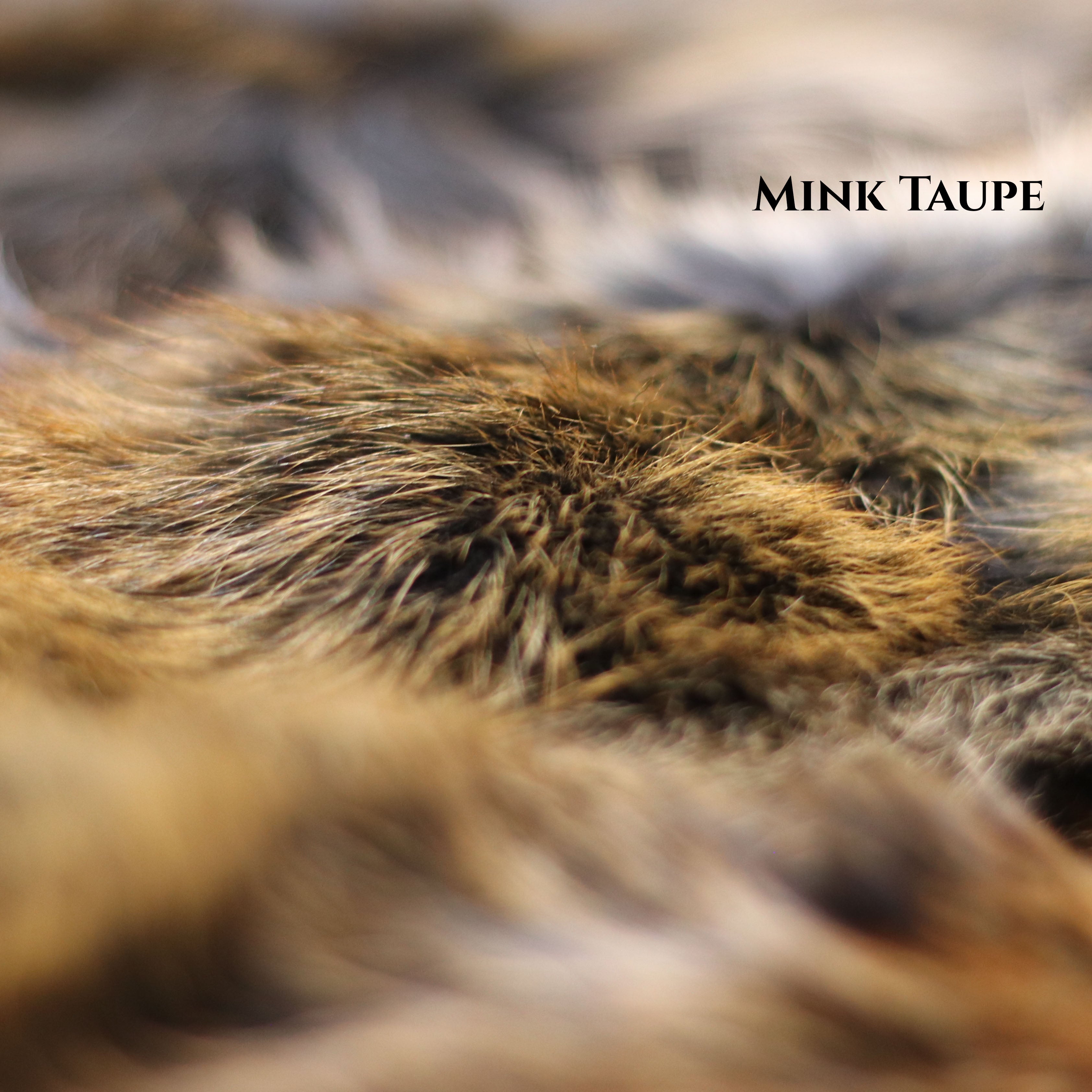 Premium Fox Fur Collar - Limited Edition