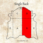 12/14oz. English Bridle Leather, Brown, Single Back by Wickett & Craig