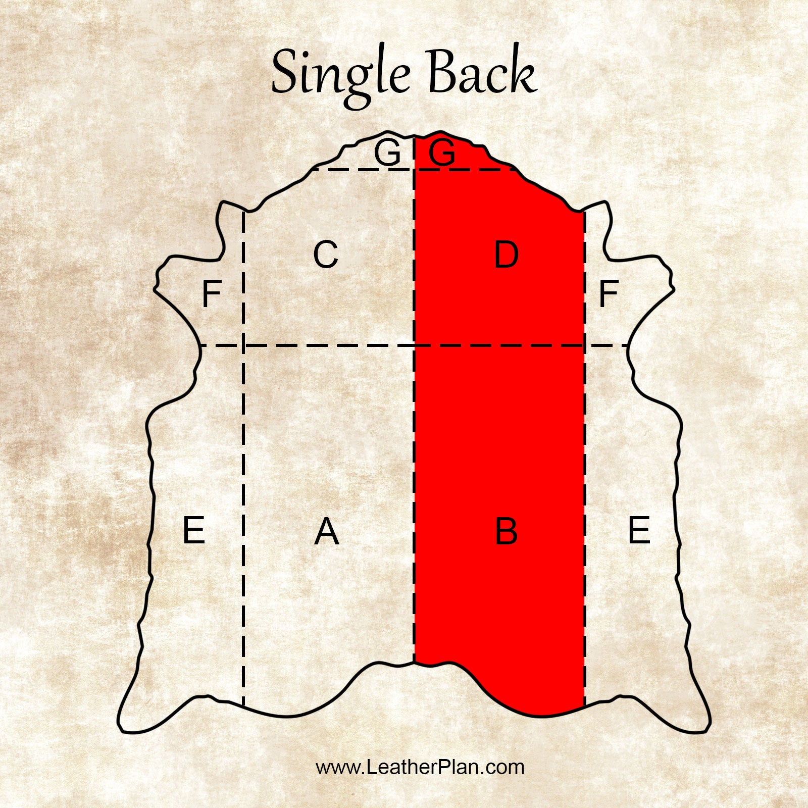 8/10oz. English Bridle Leather, Tan Color, Single Back, by Wickett & Craig