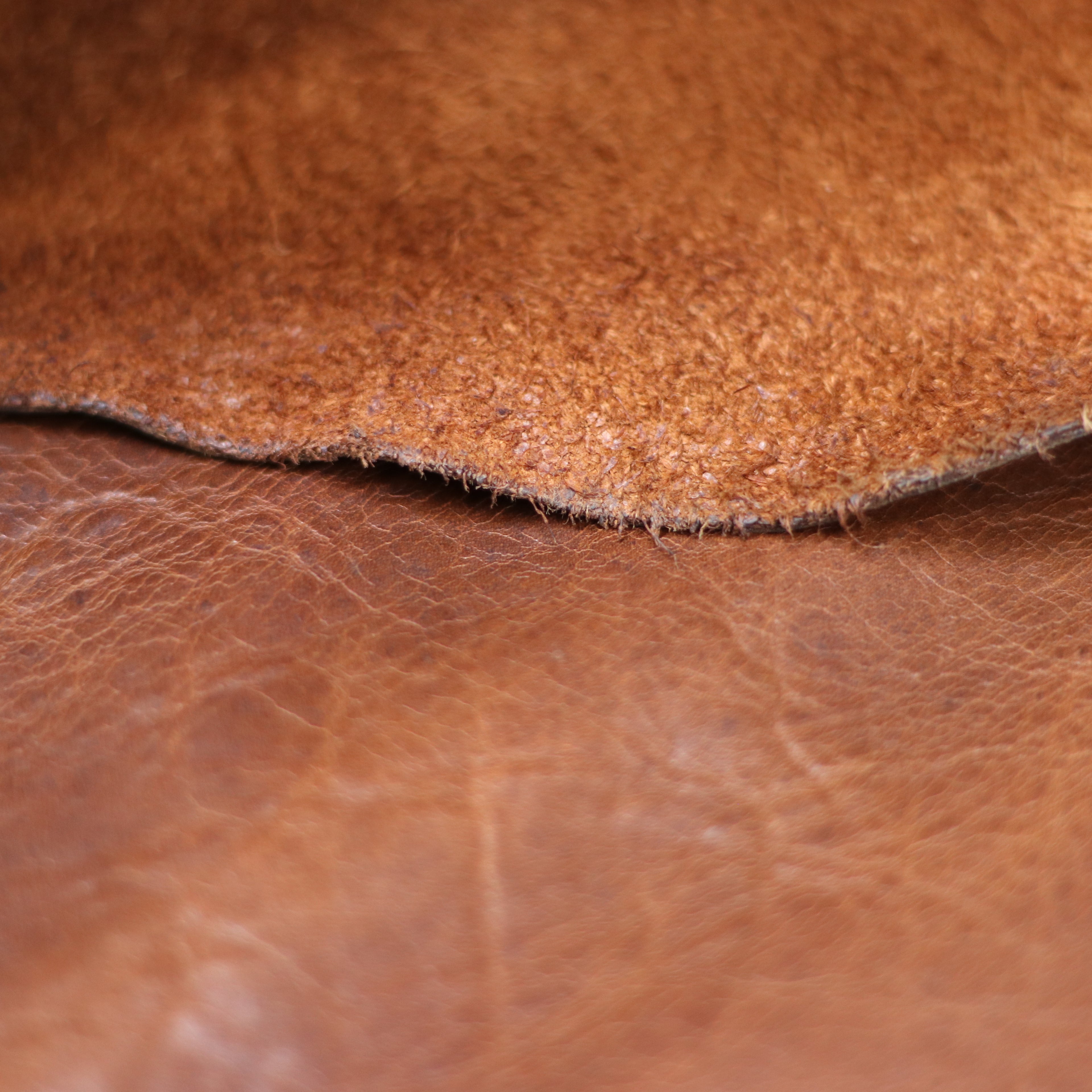 4/5oz. American Bison Sioux Chrome-Tanned Upholstery Leather by Sepici