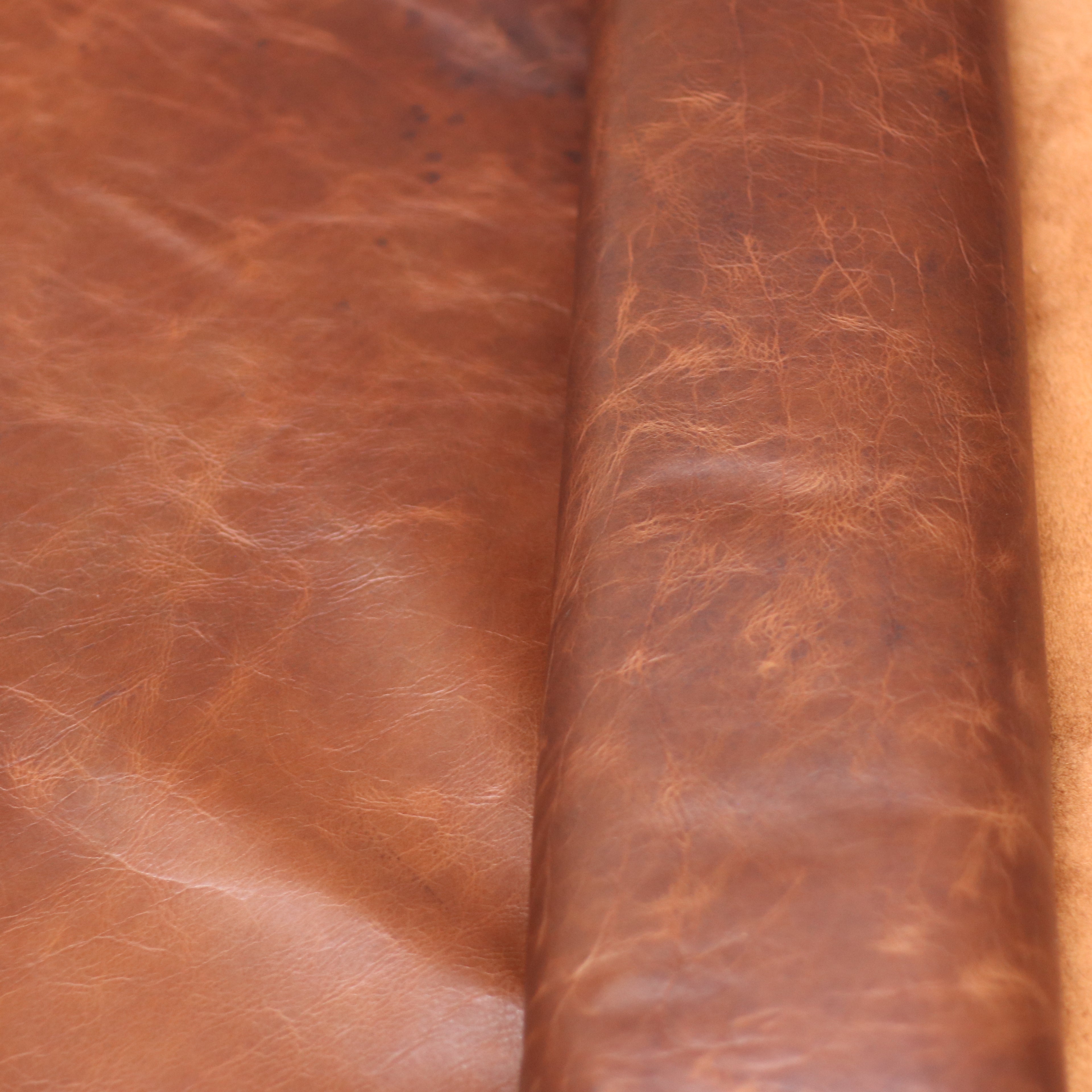 4/5oz. American Bison Sioux Chrome-Tanned Upholstery Leather by Sepici