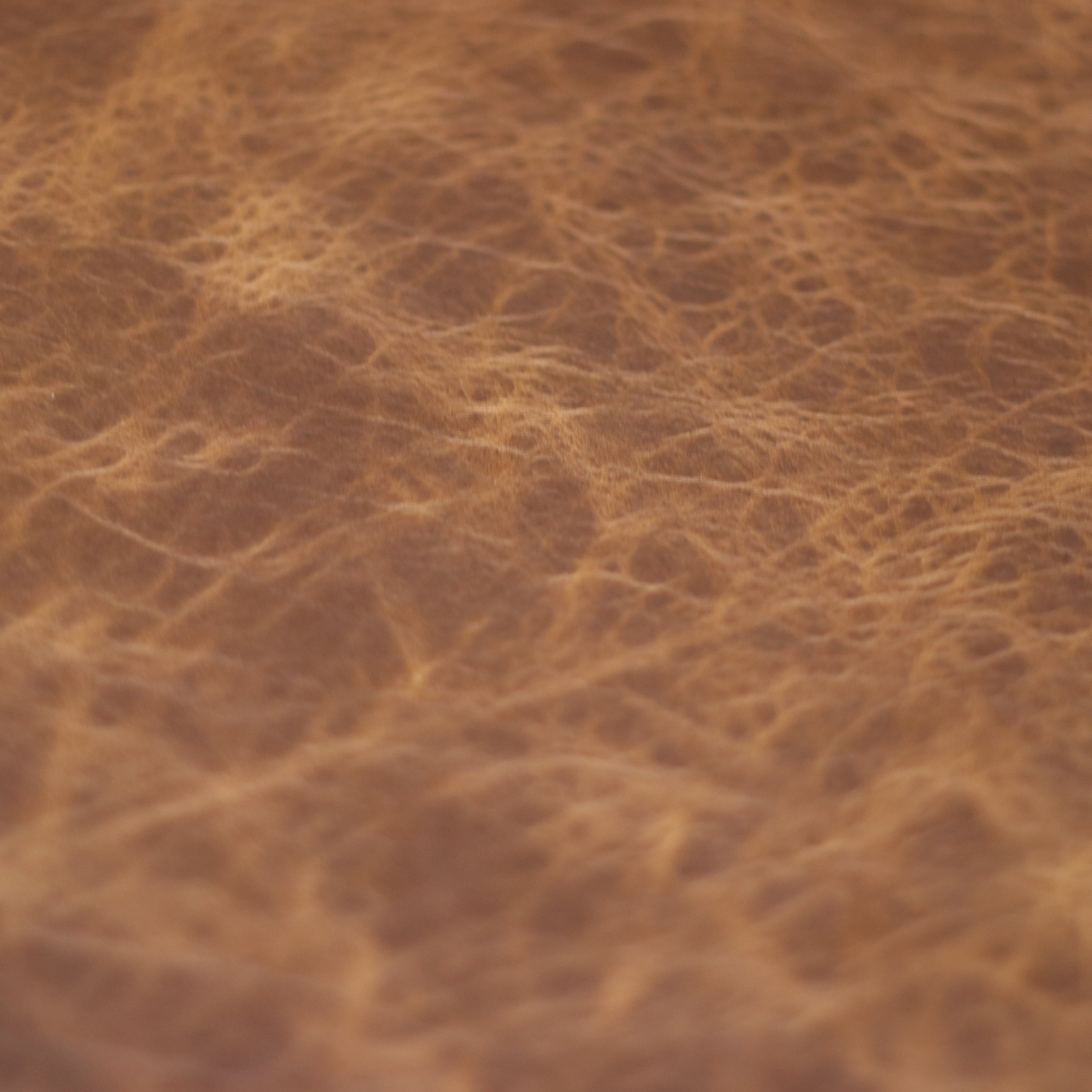 4/5oz. American Bison Sioux Chrome-Tanned Upholstery Leather by Sepici