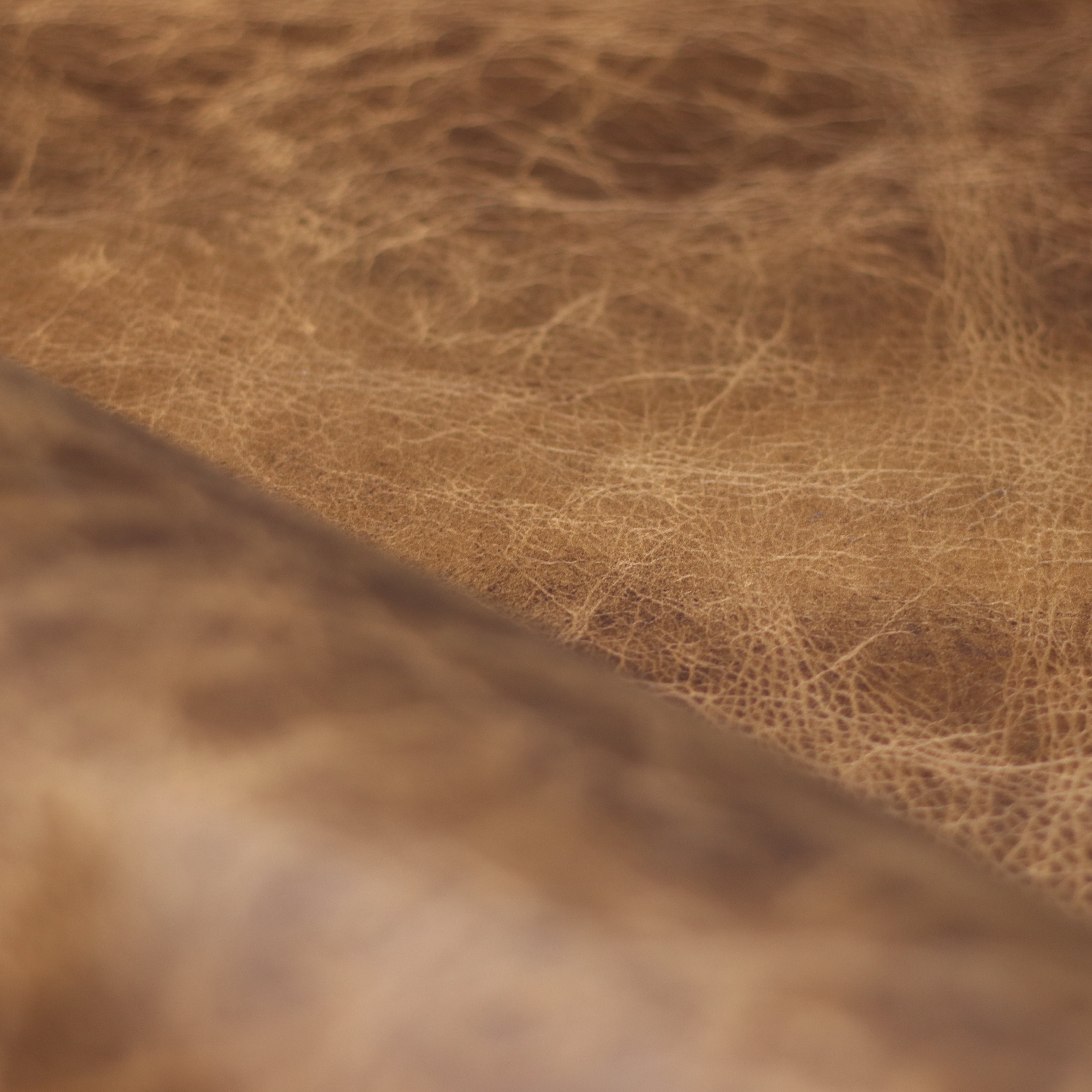 4/5oz. American Bison Sioux Chrome-Tanned Upholstery Leather by Sepici