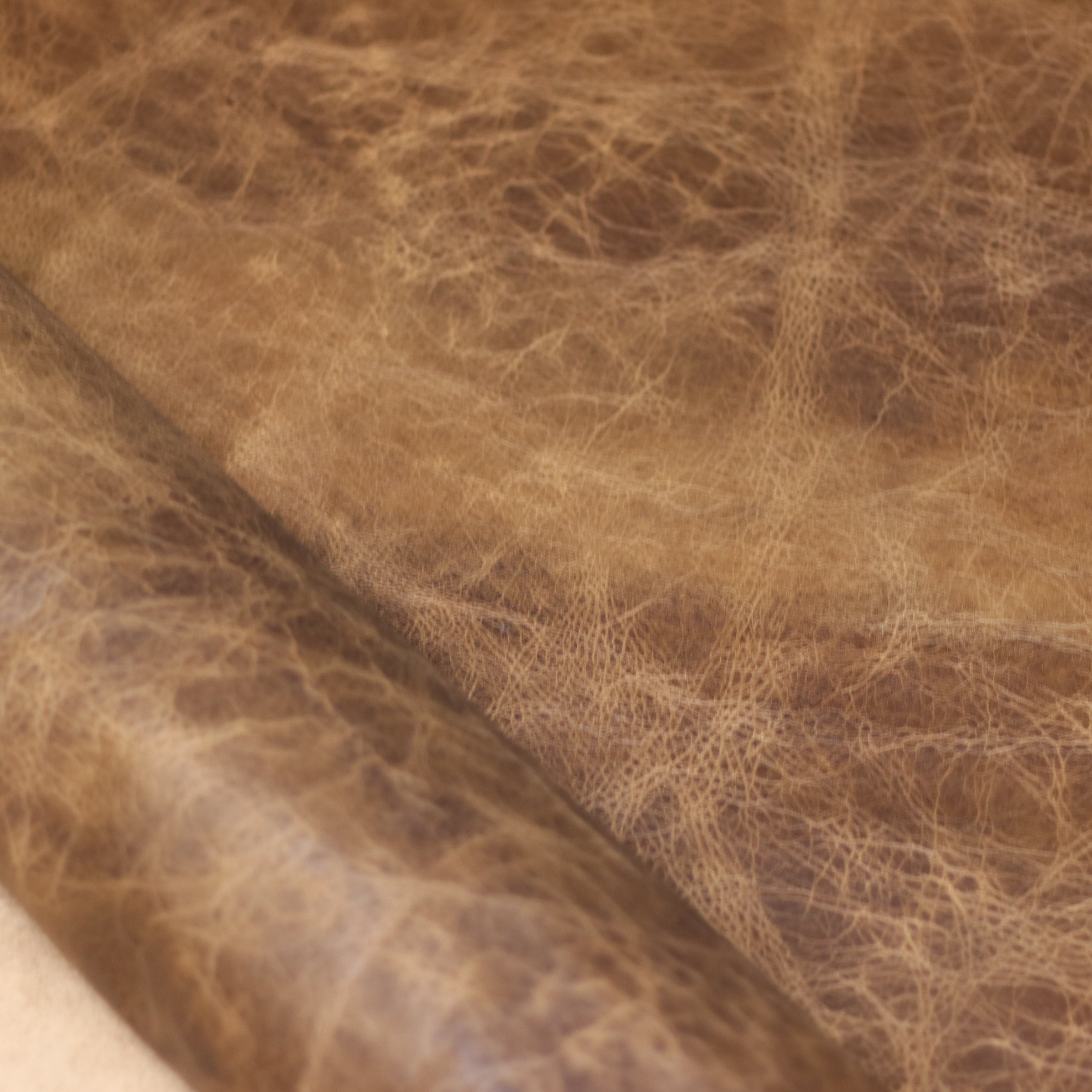 4/5oz. American Bison Sioux Chrome-Tanned Upholstery Leather by Sepici