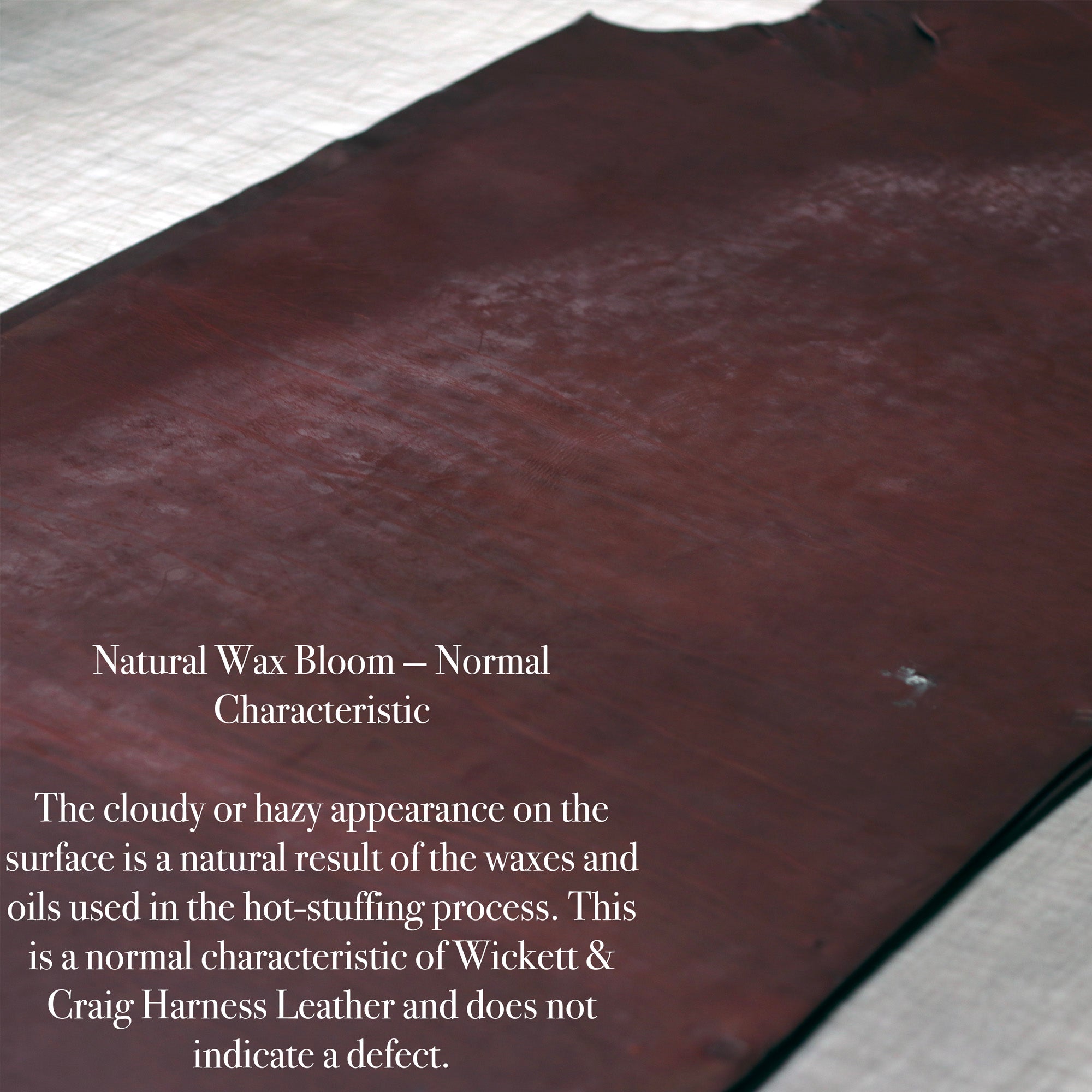 ⚡Big Sale⚡ 8/10oz. Harness Oiled & Waxed Leather, Red Brown, Single Back, by Wickett & Craig