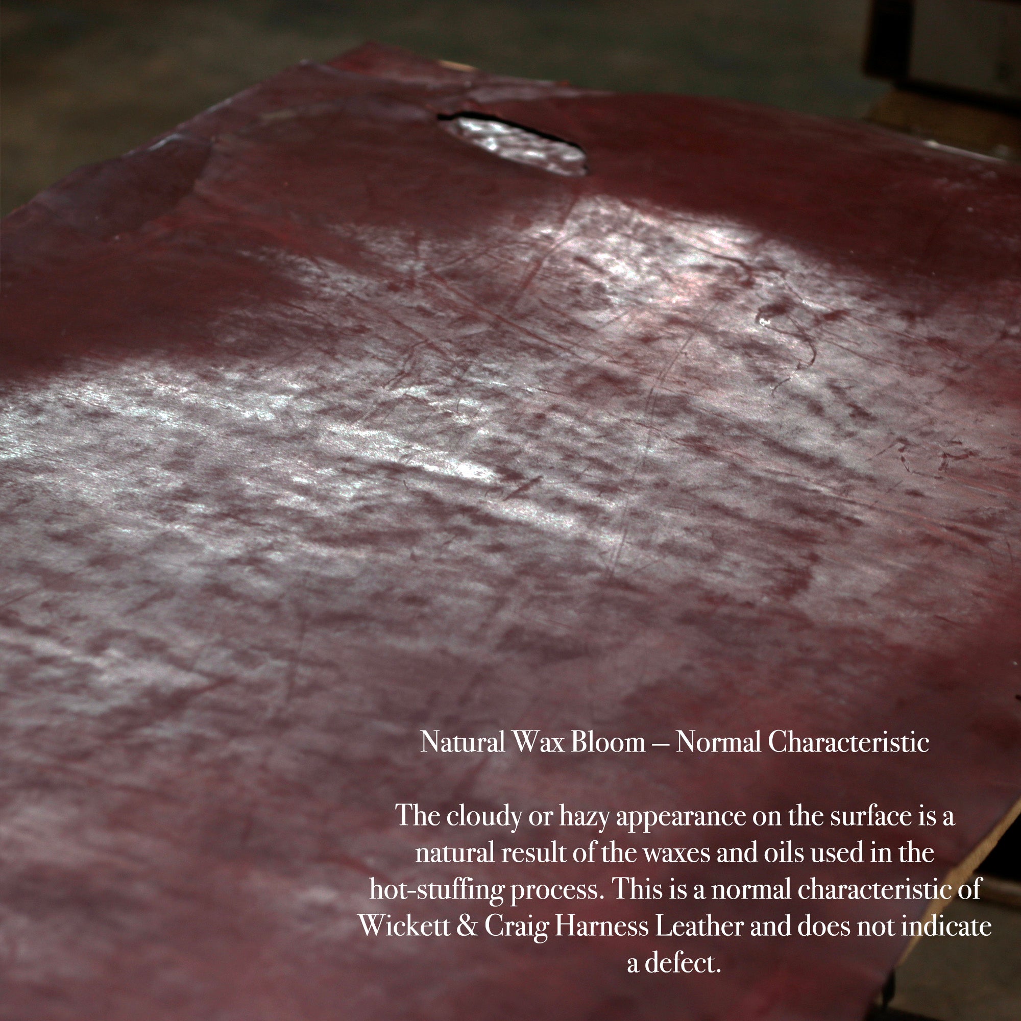 ⚡Big Sale⚡ 8/10oz. Harness Oiled & Waxed Leather, Red Brown, Single Back, by Wickett & Craig